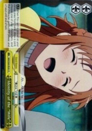 Identity of the "Wife" (SAO/S26-E020 CC) - Sword Art Online Vol.2