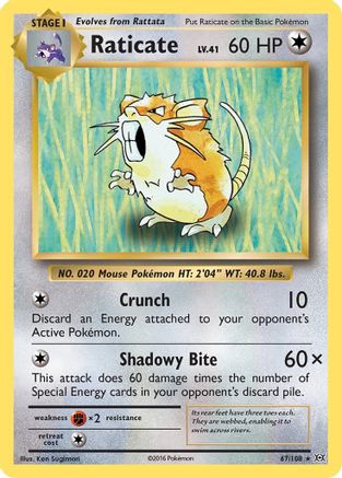 Raticate 067/108 XY Evolutions - Rare