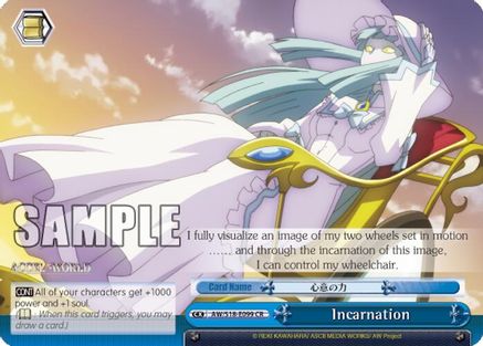 Incarnation (AW/S18-E099 CR) - Accel World
