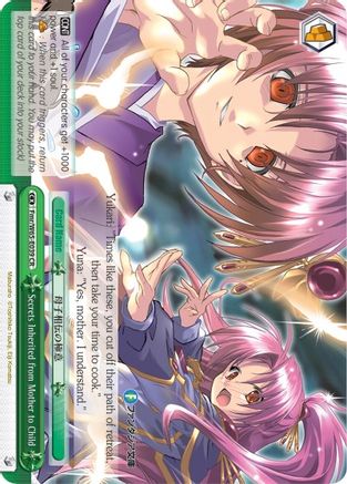Secrets Inherited from Mother to Child (Fmr/W65-E039 CR) - Fujimi Fantasia Bunko