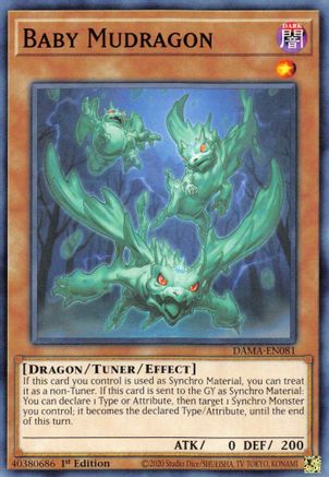 Baby Mudragon (DAMA-EN081) - Dawn of Majesty 1st Edition