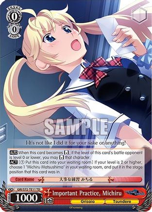 Important Practice, Michiru (GRI/S72-TE11 TD) - The Fruit of Grisaia