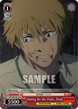 Aiming for the Vitals, Denji (CSM/S96-TE14 TD) - Chainsaw Man