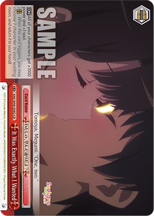 It Was Exactly What I Wanted (SHS/W98-E082 CR) - Saekano the Movie: Finale