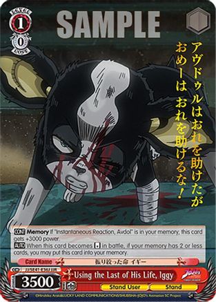 Using the Last of His Life, Iggy (JJR) (JJ/SE41-E36J JJR) - JoJo's Bizarre Adventure: Stardust Crusaders Premium Booster