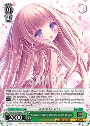 Encounter Where Flowers Bloom, Hinata (Grk/WS02-TE14 TD) - Dengeki Bunko