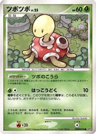 Shuckle - DP3 Shining Darkness Unlimited