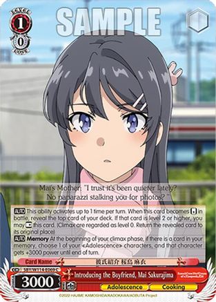 Introducing the Boyfriend, Mai Sakurajima (SBY/W114-E069 C) - Rascal Does Not Dream Series