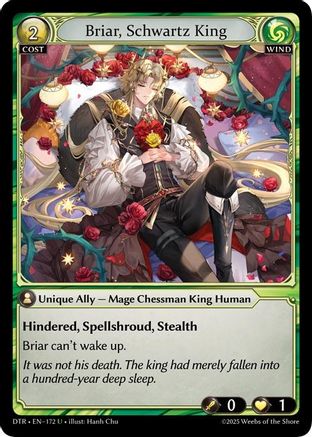 Briar, Schwartz King (172) - Distorted Reflections Foil