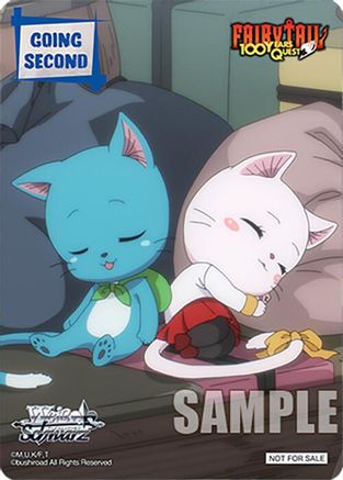 Going Second (Happy and Charle) - FAIRY TAIL 100 YEARS QUEST