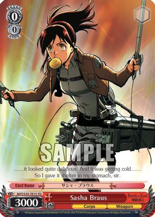 Sasha Braus (AOT/S35-TE15 TD) - Attack on Titan
