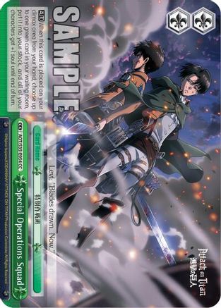Special Operations Squad (AOT/S35-E054 CC) - Attack on Titan