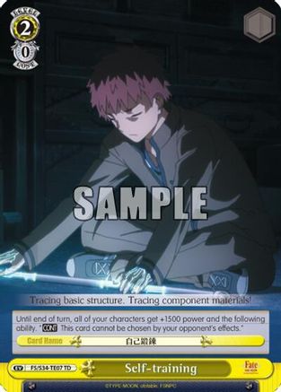 Self-training (TD) (FS/S34-TE07 TD) - Fate/stay night [Unlimited Blade Works]