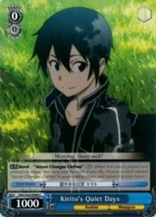 Kirito's Quiet Days (SAO/S20-E089 C) - Sword Art Online
