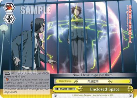 Enclosed Space (SY/W08-E025 CC) - The Melancholy of Haruhi Suzumiya