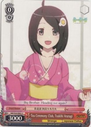 Tea Ceremony Club, Tsukihi Araragi (NM/S24-E061) - NISEMONOGATARI
