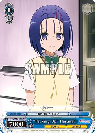 "Packing Up" Haruna? (TL/W37-E095 C) - To Loveru Darkness 2nd