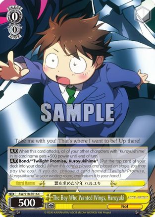 The Boy Who Wanted Wings, Haruyuki (AW/S18-E016 C) - Accel World