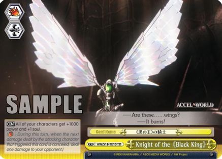 Knight of the "Black King" (AW/S18-TE10 TD) - Accel World