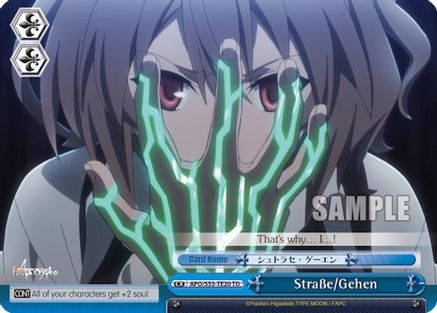 Strasse/Gehen (APO/S53-TE20 TD) - Fate/Apocrypha