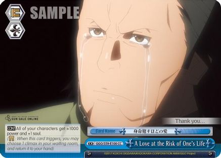 A Love at the Risk of One's Life (GGO/S59-E100 CC) - Gun Gale Online