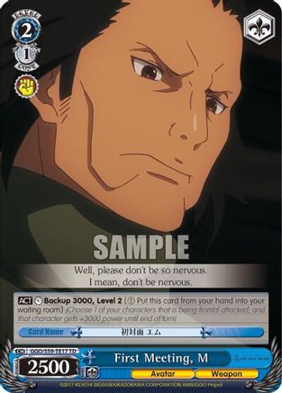 First Meeting, M (GGO/S59-TE17 TD) - Gun Gale Online