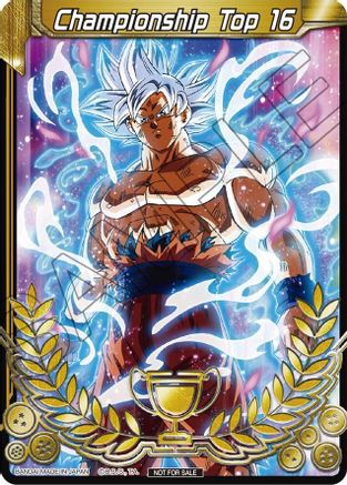 Championship Final 2019 Merit Card (Top 16)  - Tournament Promotion Cards
