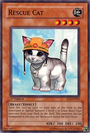 Rescue Cat (FET-EN033) - Flaming Eternity Unlimited