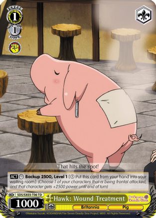 Hawk: Wound Treatment (SDS/SX03-T06 TD) - The Seven Deadly Sins