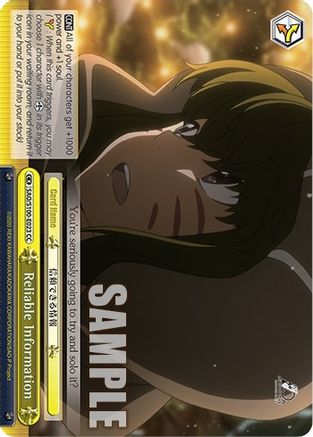 Reliable Information (SAO/S100-E023 CC) - Sword Art Online Animation 10th Anniversary