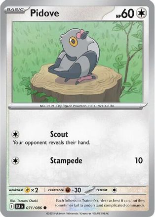 Pidove 073/086  - Reverse Holofoil SV Black Bolt - Common