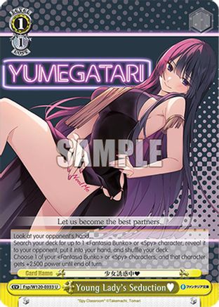 Young Lady's Seduction (Fsp/W120-E033 U) - Fujimi Fantasia Bunko Vol.2