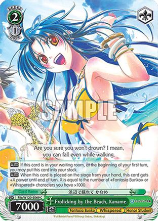 Frolicking by the Beach, Kaname (Ffp/W120-E069 C) - Fujimi Fantasia Bunko Vol.2