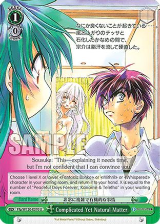 Complicated Yet Natural Matter (Ffp/W120-E070 U) - Fujimi Fantasia Bunko Vol.2