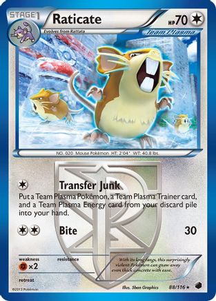 Raticate (Team Plasma) 088/116  Plasma Freeze - Rare